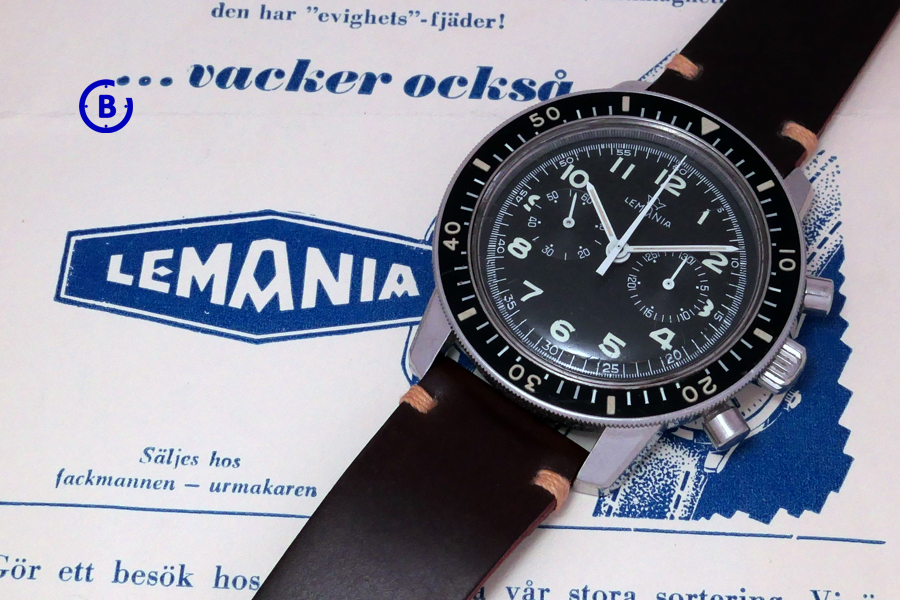 blommanwatchreport.com